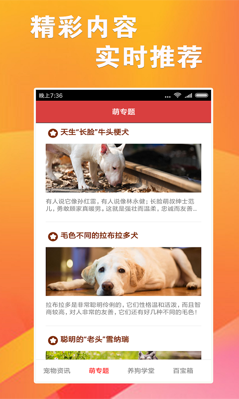7777788888跑狗軟件免費下載指南，7777788888跑狗軟件免費下載指南大全