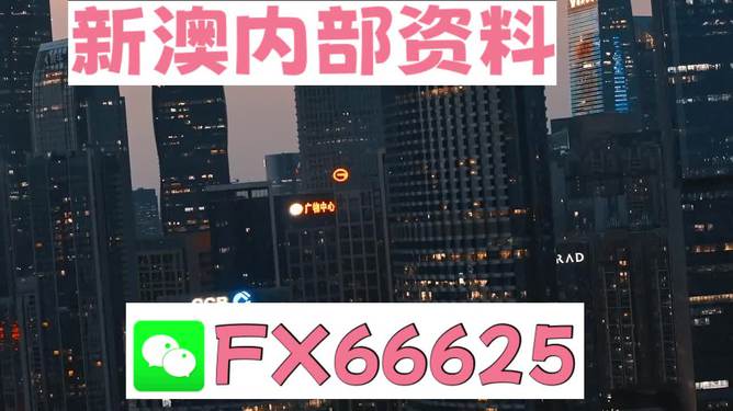 澳門跑狗，探索與解析，澳門跑狗，探索與解析之道