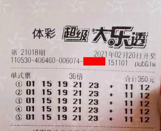 王中王018期指一生肖，揭秘背后的奧秘與意義，揭秘生肖奧秘，王中王生肖背后的意義與秘密