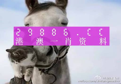 揭秘劉伯溫四肖選一碼的意思——探尋背后的故事與真相，揭秘劉伯溫四肖選一碼背后的真相與故事