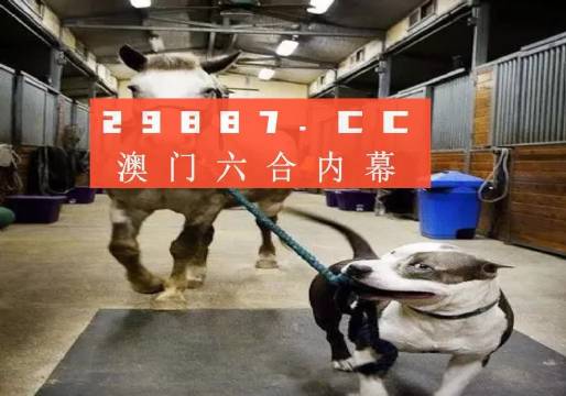 澳門一肖一碼一必中一肖，同舟前進的奧秘與策略，澳門一肖一碼必中策略與前進奧秘，同舟共濟的揭秘與策略