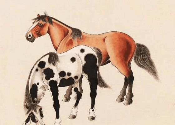 馬一王中王特平一肖圖，深度解析與SEO優(yōu)化策略，深度解析馬一王中王特平肖圖，SEO優(yōu)化策略探討