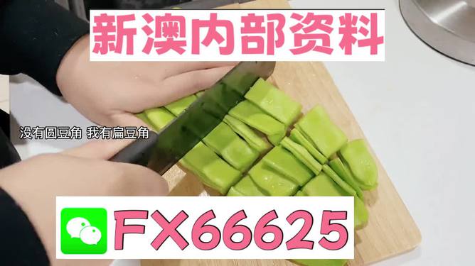 新澳精選資料免費(fèi)提供，探索優(yōu)質(zhì)資源的海洋，新澳精選資料免費(fèi)探索，優(yōu)質(zhì)資源海洋的開啟