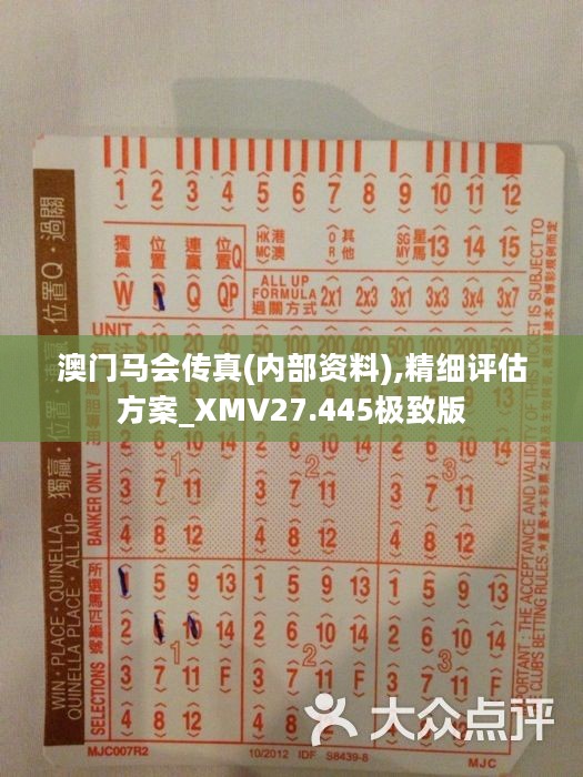馬會傳真正版，探索正版馬會文化的魅力與價值，正版馬會文化的魅力與價值探索