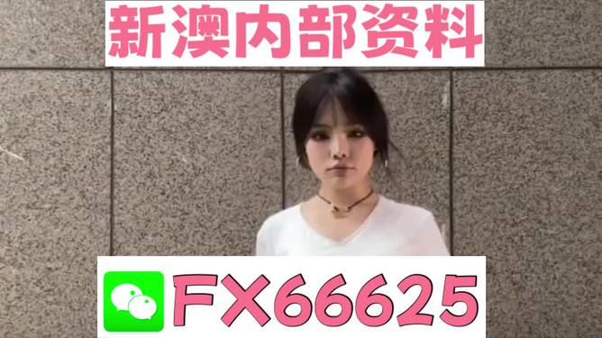 澳門正版資料大全完整版，探索與揭秘2025年澳門正版資料的世界，澳門正版資料大全揭秘，探索未來至2025年的奧秘世界