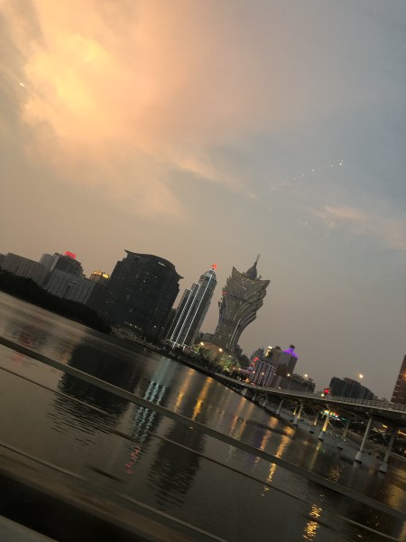 澳門今晚必開一肖一特，深度解析與預測，澳門今晚生肖特碼深度解析與預測，一肖一特必開趨勢探討