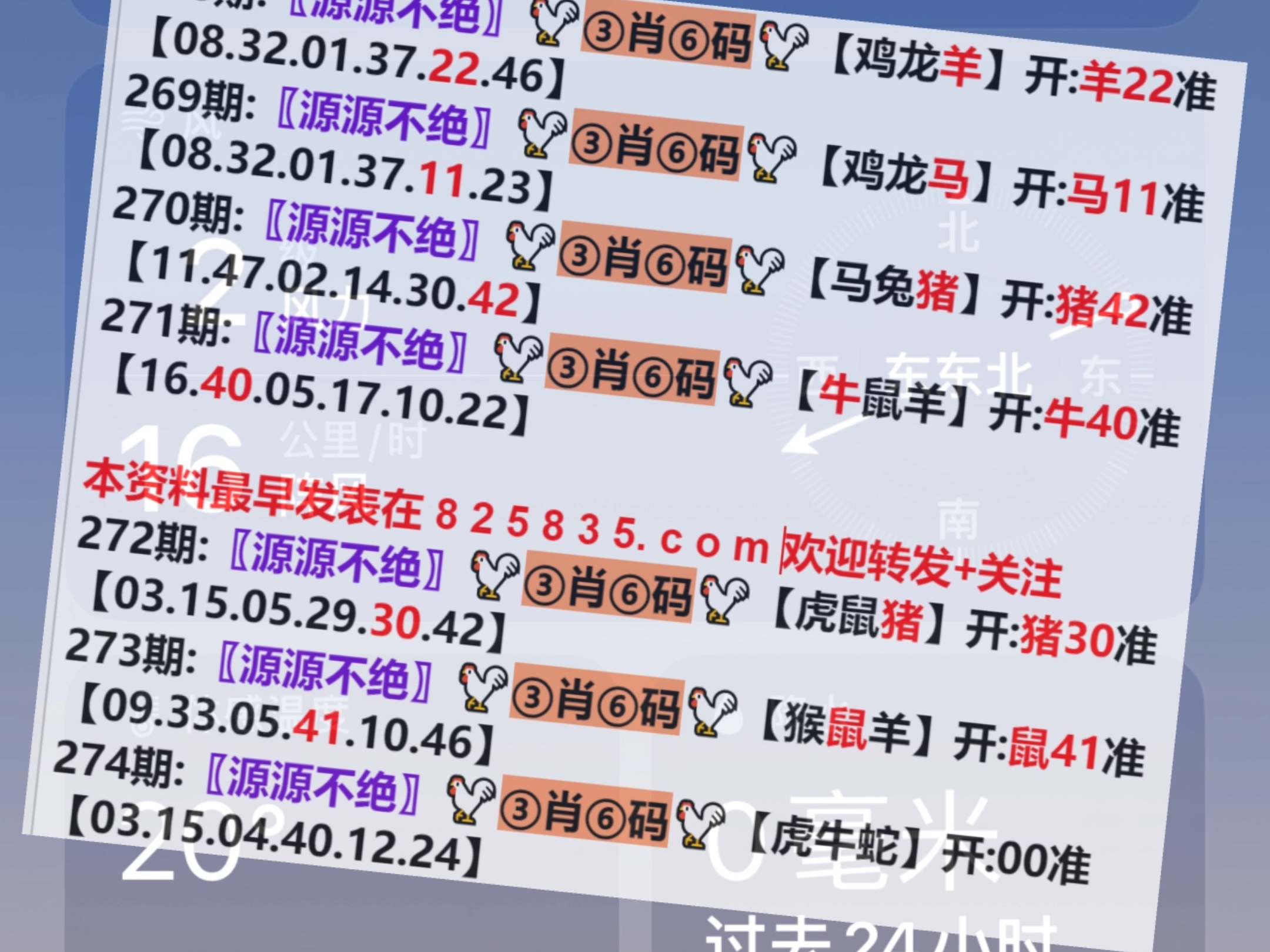 澳門一肖一碼開獎結(jié)果，揭秘彩票背后的秘密，澳門彩票開獎結(jié)果揭秘，一肖一碼背后的秘密