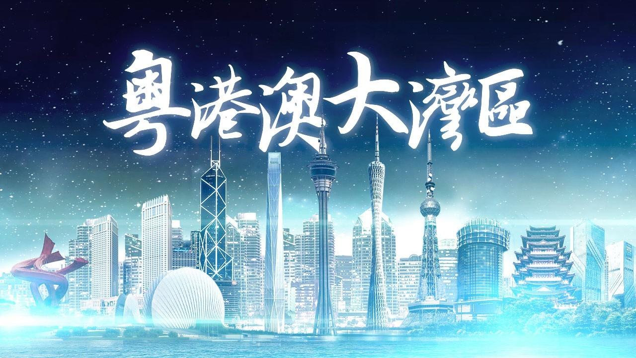2025年香港正版免費資料全面解析，香港正版免費資料全面解析（2025版）