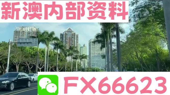 新澳精準(zhǔn)資料免費(fèi)提供，探索第221期的奧秘與價(jià)值，新澳精準(zhǔn)資料揭秘第221期奧秘與價(jià)值