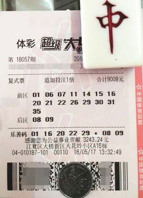 澳門(mén)六開(kāi)彩天天開(kāi)獎(jiǎng)結(jié)果查詢，輕松掌握最新動(dòng)態(tài)，澳門(mén)六開(kāi)彩最新開(kāi)獎(jiǎng)結(jié)果查詢，輕松掌握每日動(dòng)態(tài)