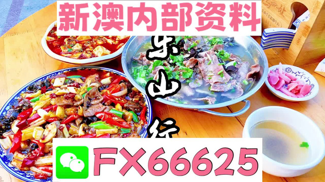 新澳全年免費資料大全——探索與學習的不竭源泉，新澳全年免費資料大全，無盡的學習資源寶庫