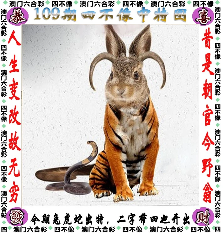 王中王四不像必中一肖——揭秘背后的秘密，揭秘王中王四不像必中一肖的秘密真相