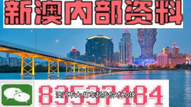 新澳內(nèi)部期期精準(zhǔn)，深度解析與SEO優(yōu)化策略，新澳內(nèi)部期期精準(zhǔn)深度解析與SEO優(yōu)化策略探討