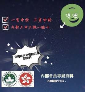 揭秘香港王中王，探尋肖中特背后的秘密，揭秘香港王中王背后的秘密與肖中特真相探索
