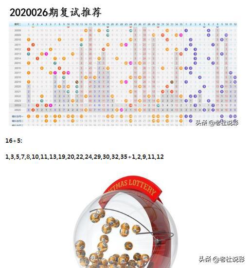 王中王026期指一生肖，深度解讀與SEO優(yōu)化策略，王中王026期生肖深度解讀與SEO優(yōu)化策略全解析