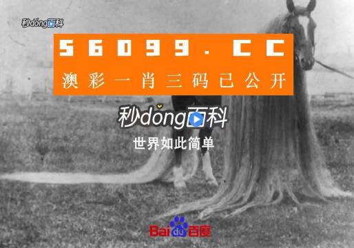 澳門一肖一碼一必中一肖舟山，揭秘彩票秘密，掌握幸運之鑰，揭秘彩票秘密，澳門一肖一碼必中秘籍與幸運之鑰在舟山開啟