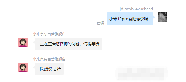 王中王一肖碼，探索關(guān)鍵詞背后的奧秘，王中王一肖碼，揭秘關(guān)鍵詞背后的奧秘