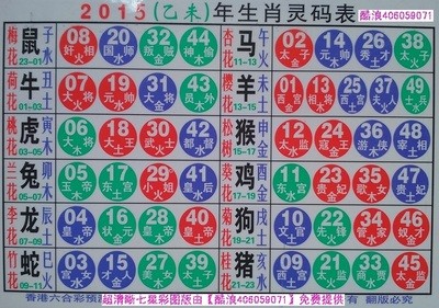 揭秘2025十二生肖與數(shù)字彩票的神奇聯(lián)系——49碼表全解析，揭秘十二生肖與數(shù)字彩票的神秘聯(lián)系，2025年49碼表深度解析