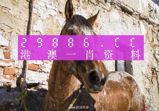 王中王資料一門肖中，深度解析與探索，王中王資料一門肖詳解，深度解析與探索