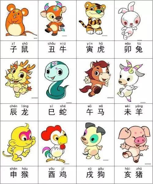 一肖有哪幾個生肖，生肖一肖包含哪些生肖