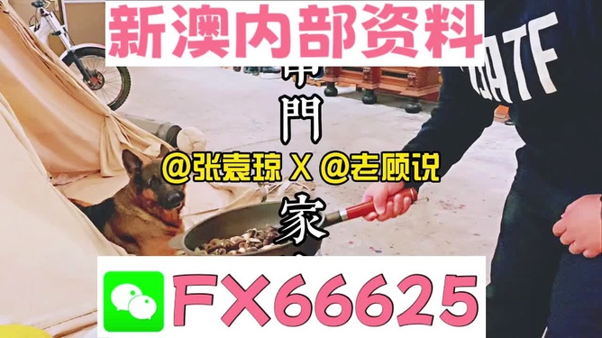 新澳門精準(zhǔn)資料大全，管家婆料解析與探索，澳門精準(zhǔn)資料大全，管家婆料解析與深度探索