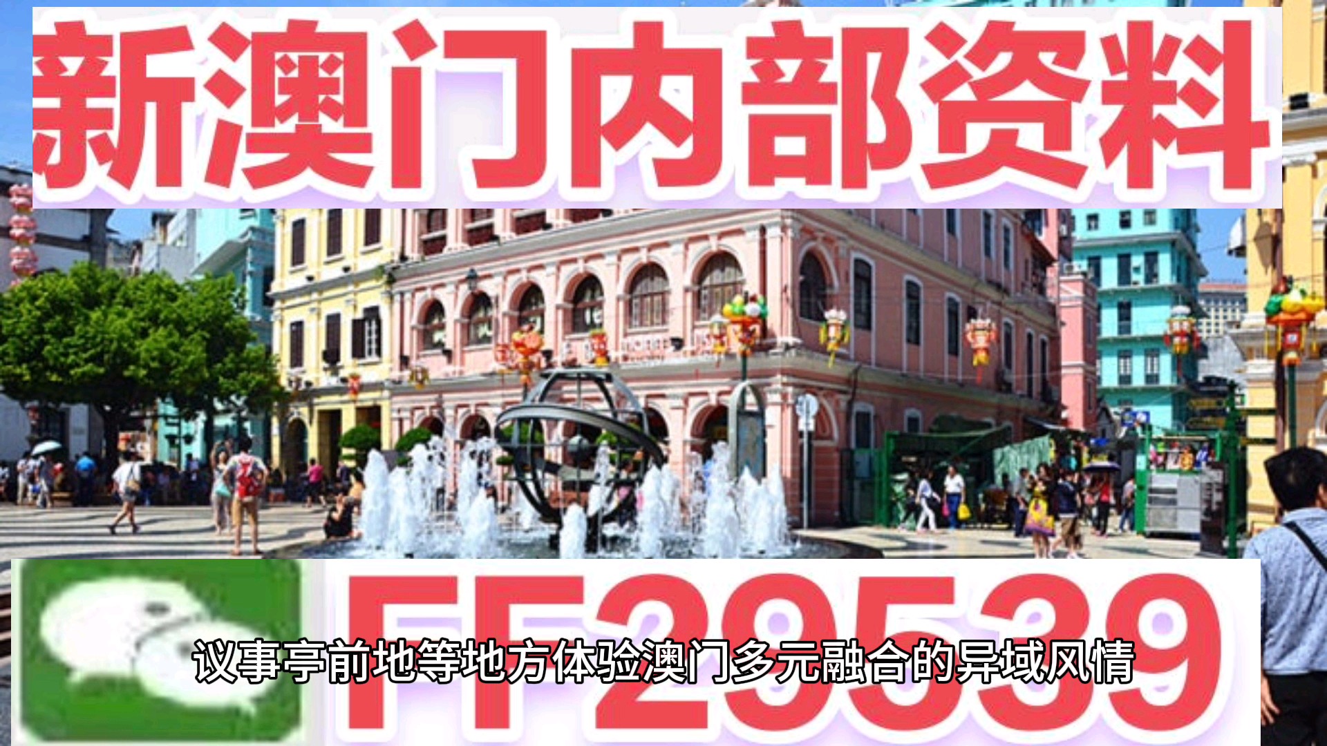 澳門(mén)今晚必開(kāi)一肖一特，揭秘生肖彩票的魅力與策略，澳門(mén)生肖彩票揭秘，必開(kāi)一肖一特的魅力與策略