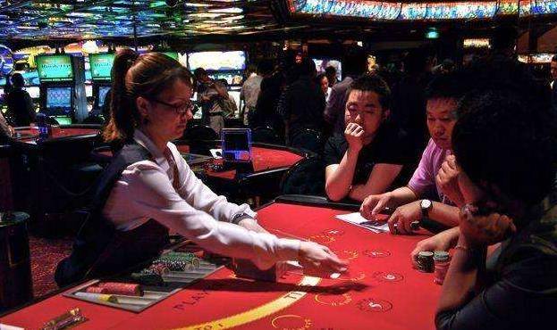 澳門金牛王中王一肖，探索背后的神秘與魅力，澳門金牛王中王一肖，神秘魅力背后的探索