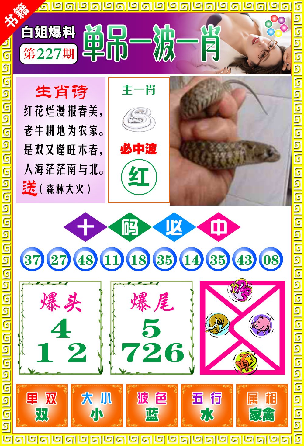 王中王免費(fèi)一肖開獎(jiǎng)，揭秘彩票背后的秘密，揭秘彩票背后的秘密，王中王免費(fèi)一肖開獎(jiǎng)探秘