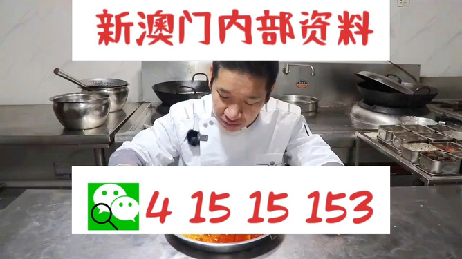 管家婆一肖資料大全，深度解析與探索，管家婆一肖資料深度解析與探索大全