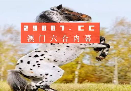 關(guān)于白小姐三碼三期必出一期嗎的真相探討，白小姐三碼三期必出一期真相揭秘與探討