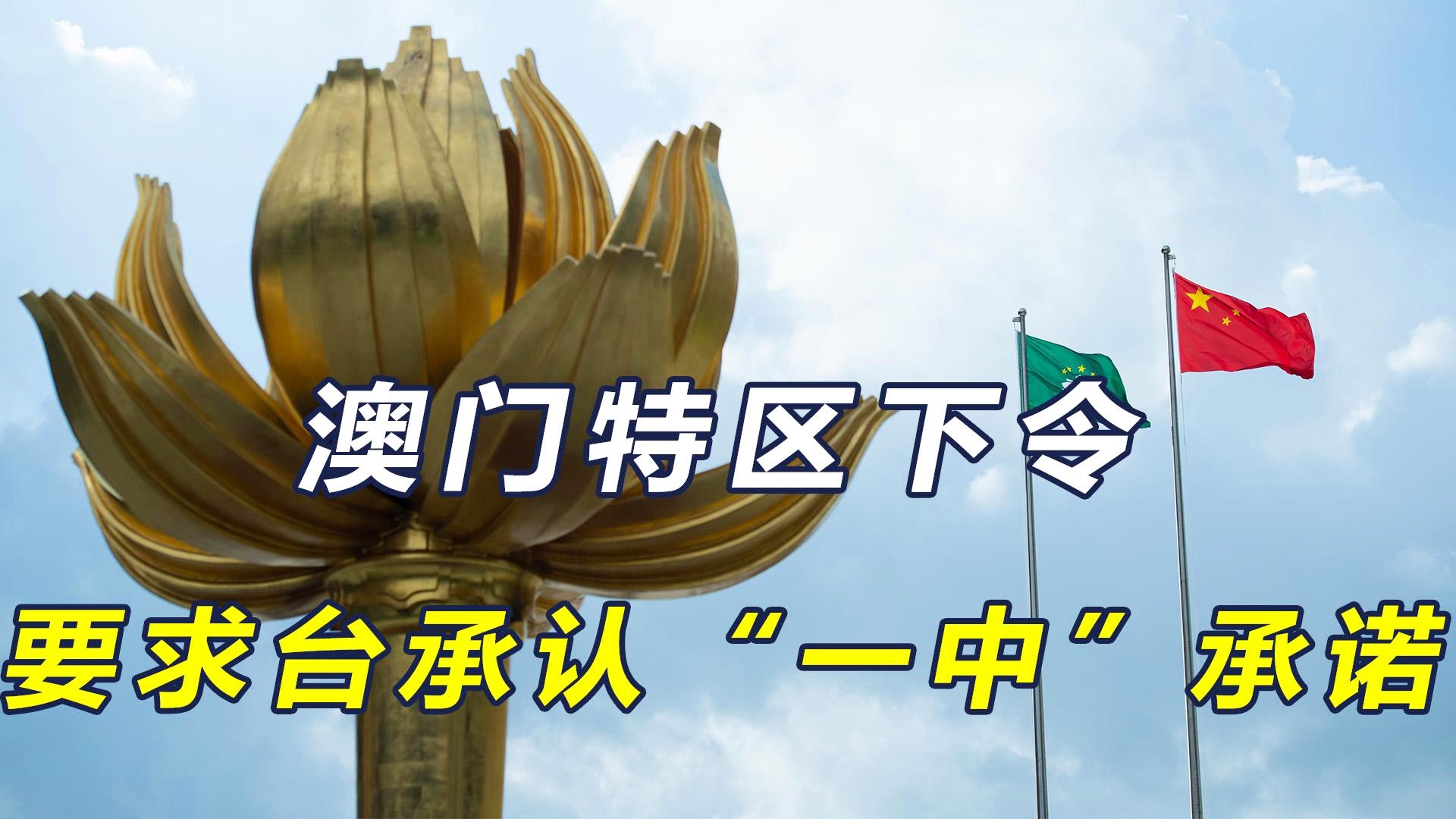 新澳門一碼一肖一特一中準選今晚——揭秘精準預(yù)測的秘密，揭秘澳門今晚精準預(yù)測的秘密，一碼一肖一特一中準選揭曉！