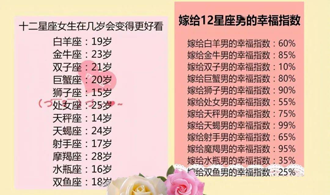 王中王十二生肖所屬之肖解析，王中王十二生肖解析揭秘