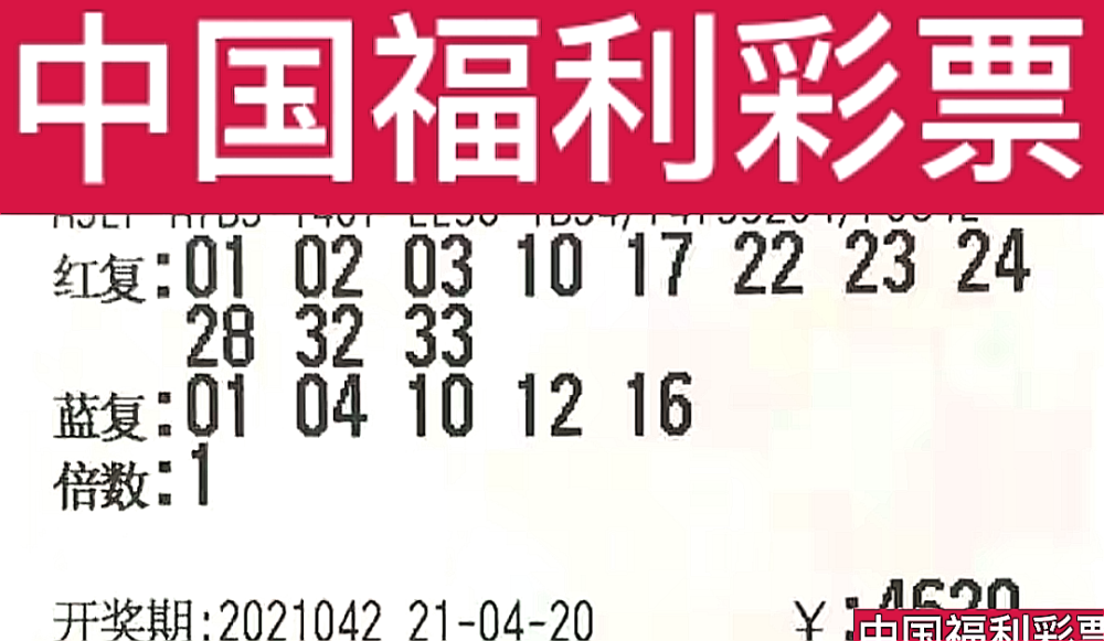 新奧門今晚開獎結(jié)果查詢第243期，全面解析與預(yù)測，新奧門第243期開獎結(jié)果解析與預(yù)測，今晚開獎揭秘