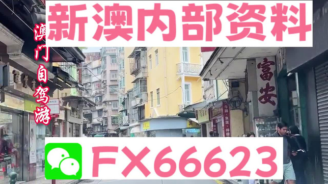 新澳精準(zhǔn)資料免費(fèi)提供，探索與實(shí)踐的指南，新澳精準(zhǔn)資料免費(fèi)分享，探索與實(shí)踐的導(dǎo)航指南