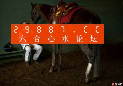 一肖一馬王中王一馬中特，深度解析與SEO優(yōu)化策略，一肖一馬王中王深度解析與SEO優(yōu)化策略探討