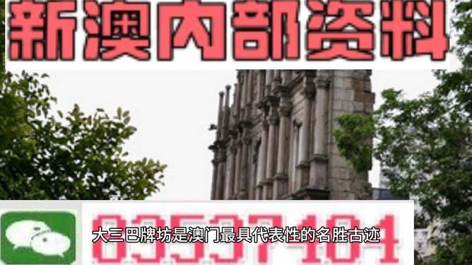 探索澳門未來(lái)，2025新澳門最精準(zhǔn)的發(fā)展方向與芳草地展望，澳門未來(lái)展望，2025精準(zhǔn)發(fā)展方向與芳草地展望的探索
