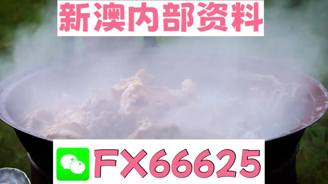 新澳全年免費(fèi)資料大全，一站式獲取優(yōu)質(zhì)資源指南，新澳全年優(yōu)質(zhì)資源免費(fèi)獲取指南