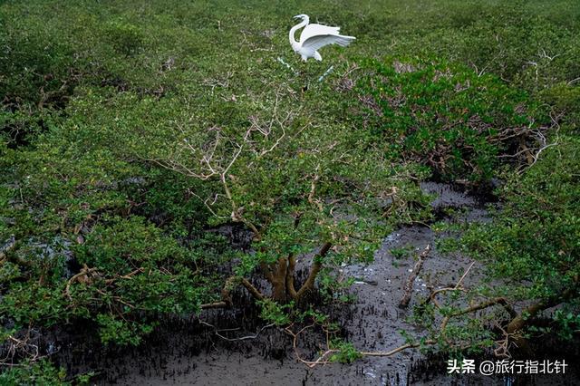 熱點(diǎn) 第137頁