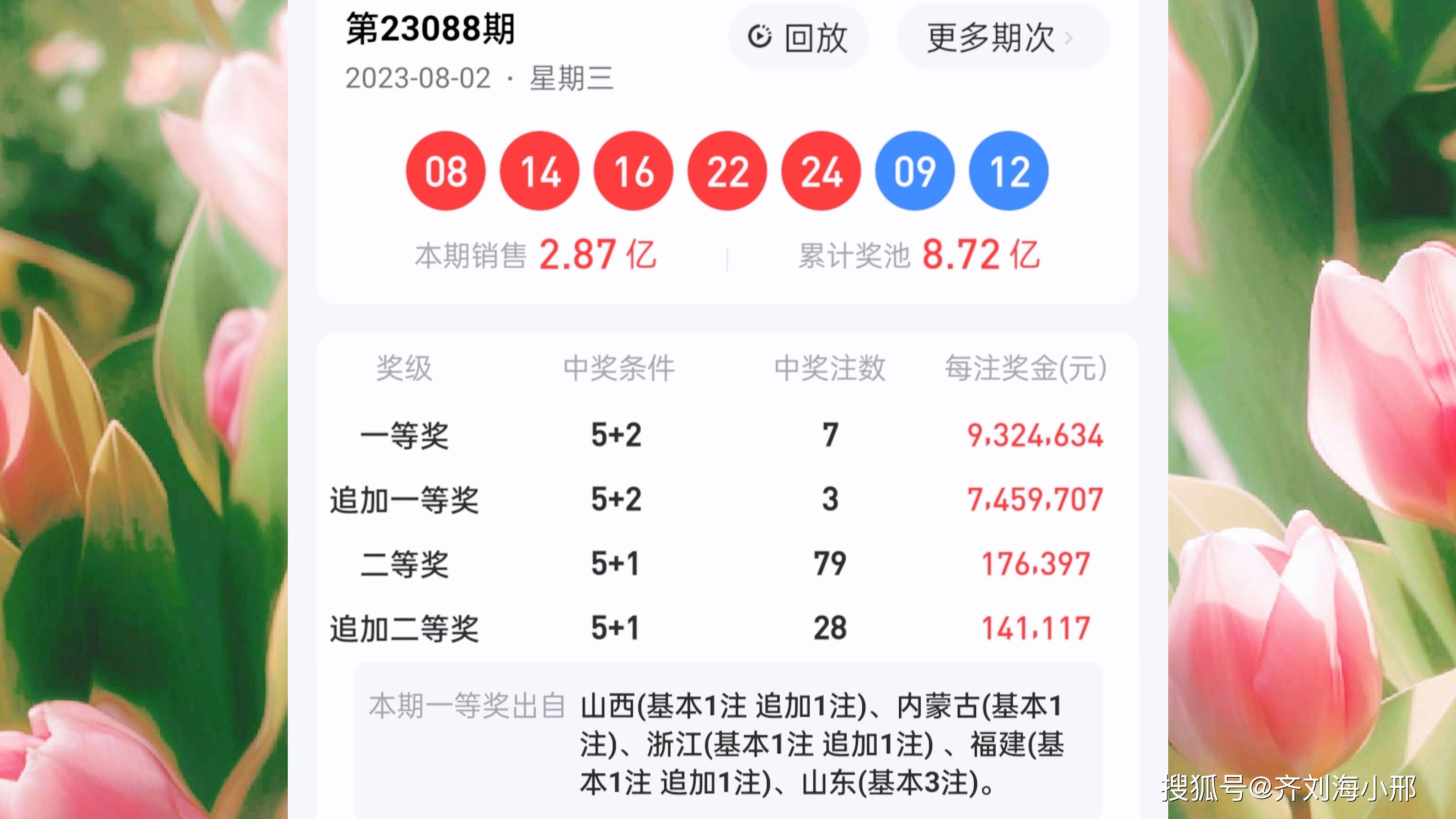 最新開(kāi)獎(jiǎng)結(jié)果揭曉，王中王與一肖中的幸運(yùn)時(shí)刻，王中王與一肖中幸運(yùn)時(shí)刻揭曉，最新開(kāi)獎(jiǎng)結(jié)果出爐