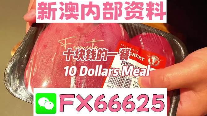 揭秘2025新奧精準(zhǔn)正版資料，全方位解讀與SEO優(yōu)化策略，揭秘2025新奧精準(zhǔn)正版資料，全方位解讀與SEO策略優(yōu)化指南