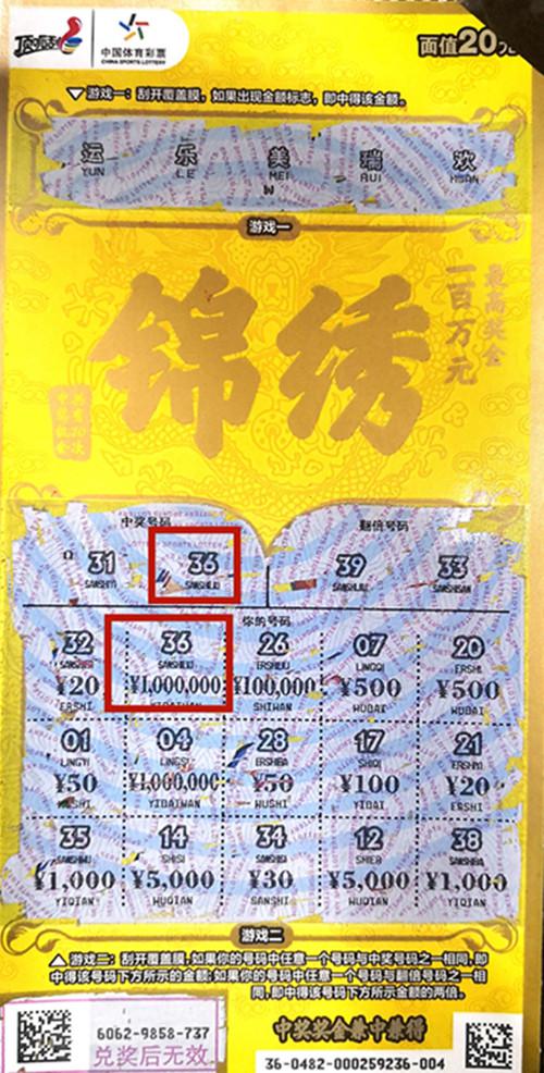 王中王六肖一碼期期中的奧秘與探索，王中王六肖一碼期奧秘揭秘與探索