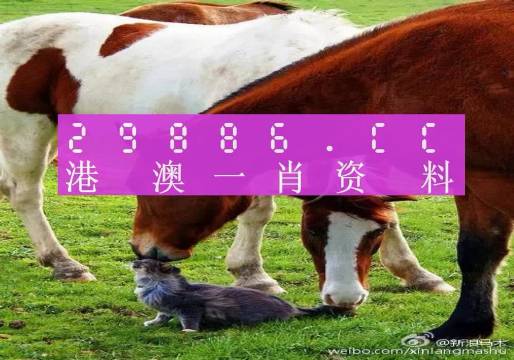 新奧門(mén)一肖一碼，揭秘精準(zhǔn)預(yù)測(cè)的秘密，揭秘新澳門(mén)一肖一碼精準(zhǔn)預(yù)測(cè)的秘密