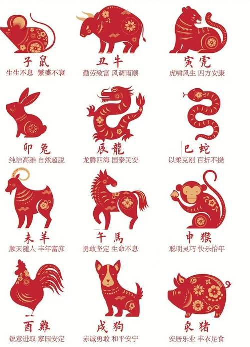 新澳特碼，羊?；⒏鲾?shù)10的獨特魅力與探索，新澳特碼，羊?；⒏鲾?shù)10的獨特魅力與奧秘探索
