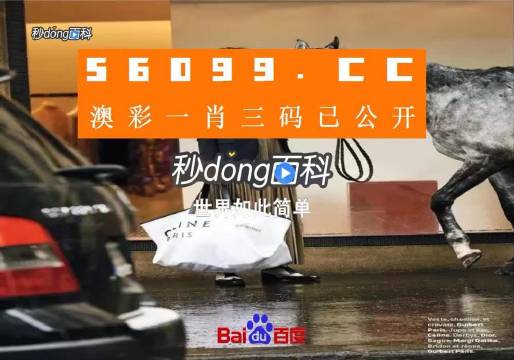 新澳一碼三中三資料，探索與解析，新澳一碼三中三資料解析與探索