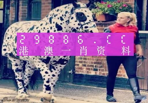 澳彩平肖王中王，一笑一碼的秘密與SEO優(yōu)化策略，澳彩平肖王中王，揭秘一笑一碼背后的SEO優(yōu)化策略