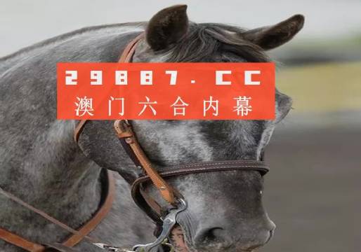 澳門一一碼一特一中準(zhǔn)選今晚，探索真實(shí)有效的選擇與策略，澳門今晚一特一中準(zhǔn)選碼，真實(shí)有效的選擇與策略探索