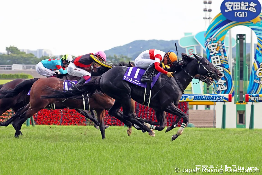 香港王中王與一馬中特肖的獨特魅力，深度解析與探索，香港王中王與一馬中特肖的獨特魅力，深度探索與解析