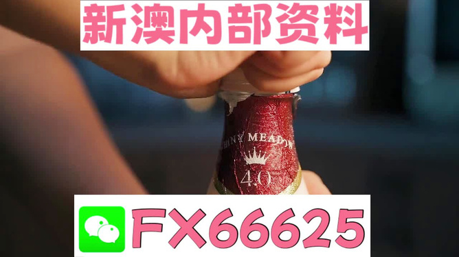 新澳門一碼一碼，揭秘精準(zhǔn)預(yù)測的秘密與真相，揭秘澳門一碼一碼精準(zhǔn)預(yù)測的秘密與真相
