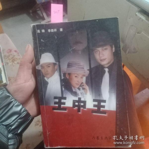 王中王資料一肖中天，深度解析與探索，王中王資料一肖中天，深度剖析與探索