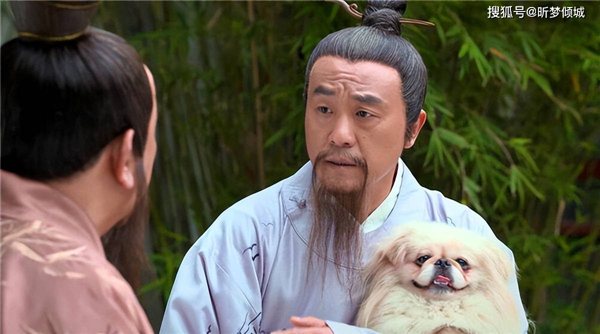 揭秘劉伯溫四不象一肖的神秘面紗——探尋背后的傳奇故事，揭秘劉伯溫四不象一肖背后的傳奇故事，神秘面紗下的神秘傳說
